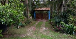 Sítio à Venda em Ibiúna/SP com 5.000 m², Piscina e Área Gourmet