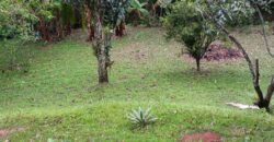 Sítio à Venda em Ibiúna/SP com 5.000 m², Piscina e Área Gourmet