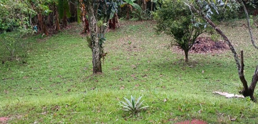 Sítio à Venda em Ibiúna/SP com 5.000 m², Piscina e Área Gourmet