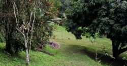 Sítio à Venda em Ibiúna/SP com 5.000 m², Piscina e Área Gourmet