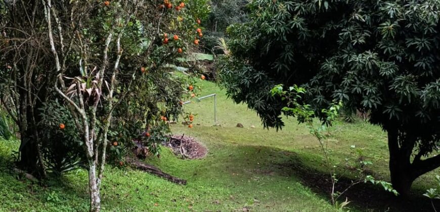 Sítio à Venda em Ibiúna/SP com 5.000 m², Piscina e Área Gourmet